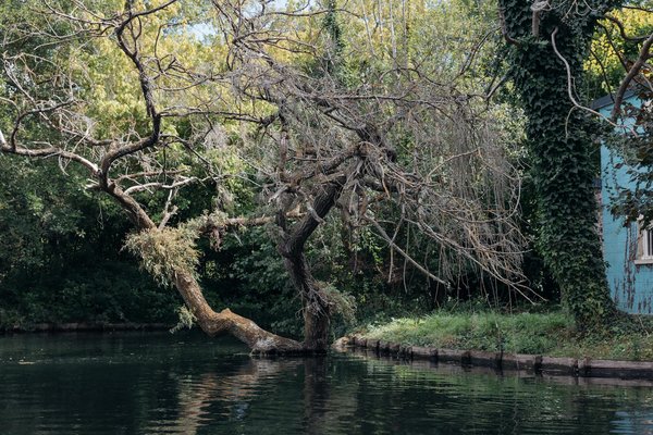 Comment conserver son autonomie en cas de troubles de la vision ?